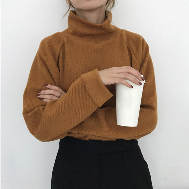 Turtleneck sweater Knitted Jumpers